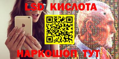гидропоника Будённовск