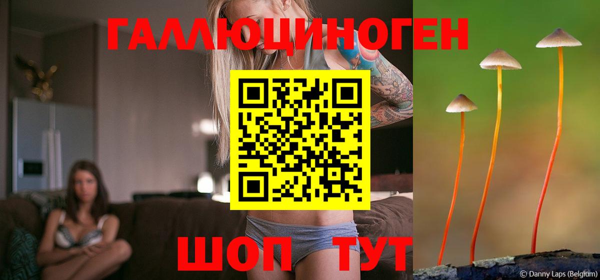 Псилоцибиновые грибы MAGIC MUSHROOMS  Псилоцибиновые грибы мицелий  Феодосия  Вход с VPN 